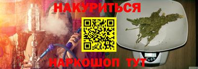 молекула духа Будённовск