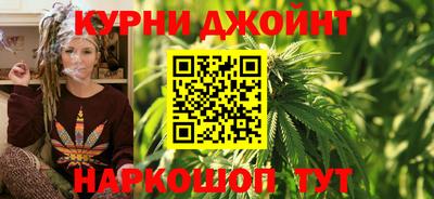 молекула духа Будённовск