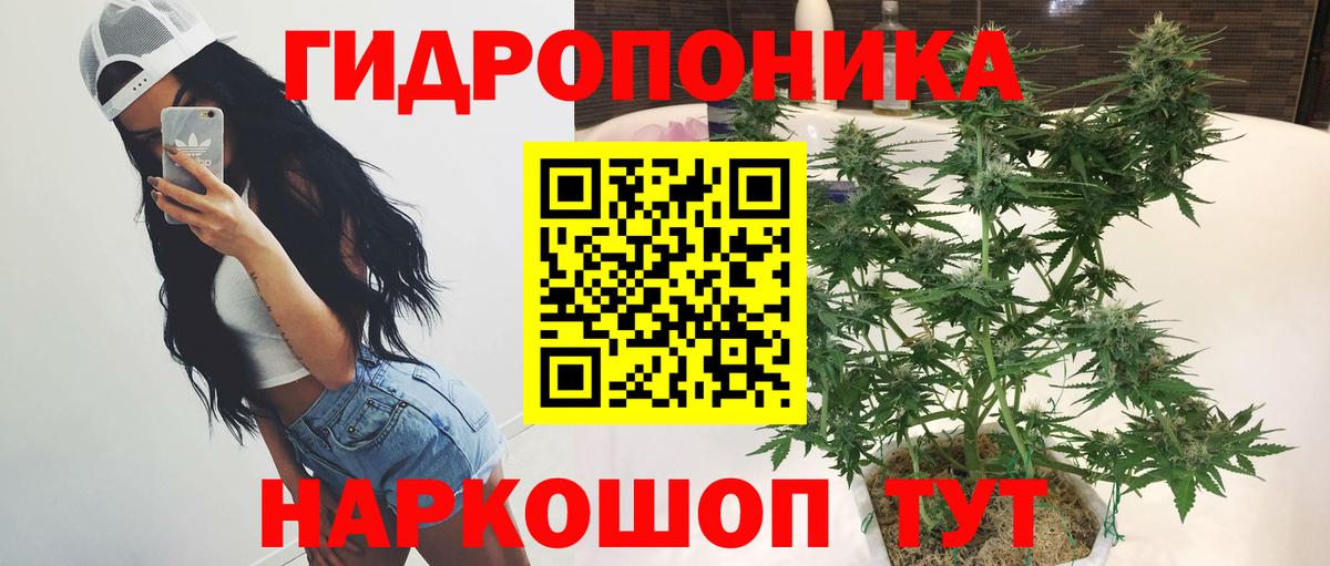 Марихуана Amnesia  Вход с VPN  Бошки марихуана индика  Рыбинск  Шишки марихуана OG Kush 